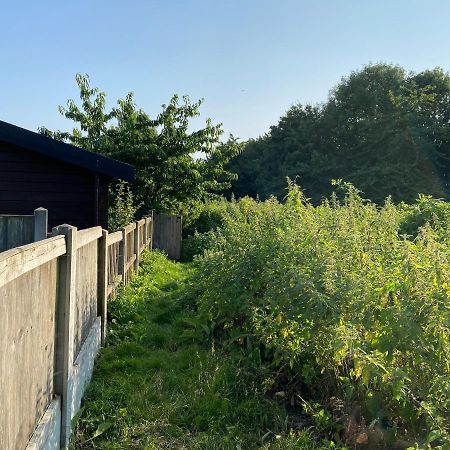 Shrublands Garden Cabin Bed & Breakfast Colchester Exterior photo