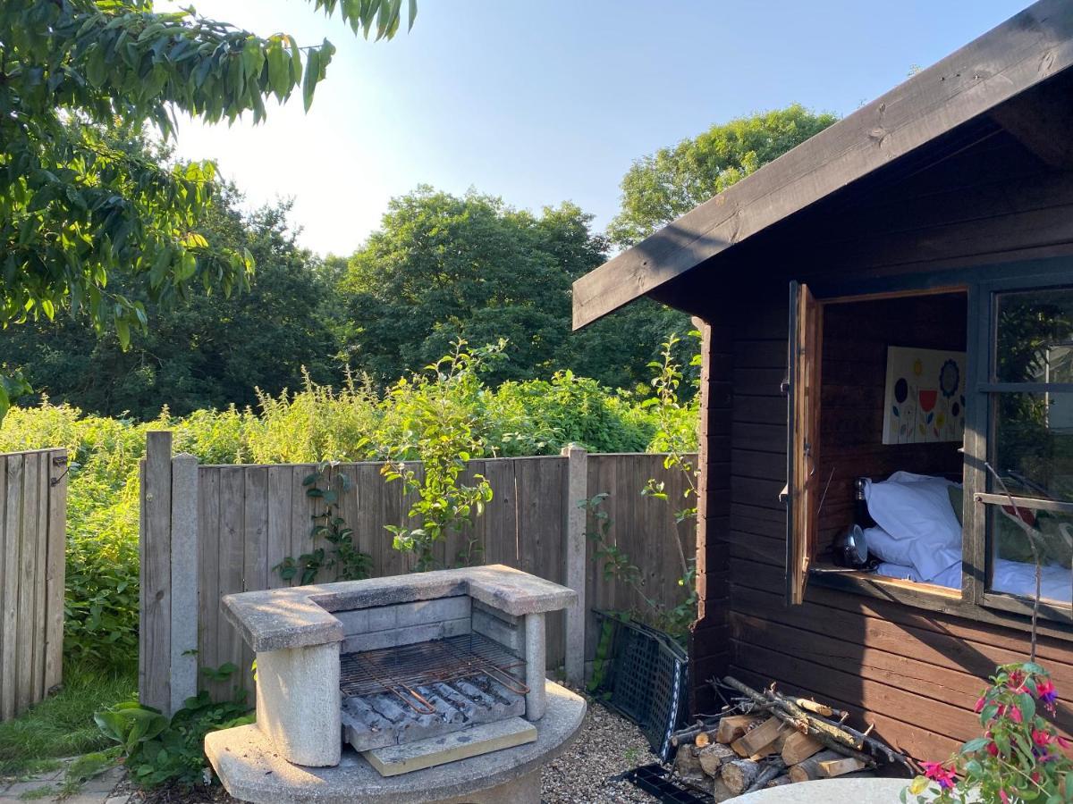 Shrublands Garden Cabin Bed & Breakfast Colchester Exterior photo